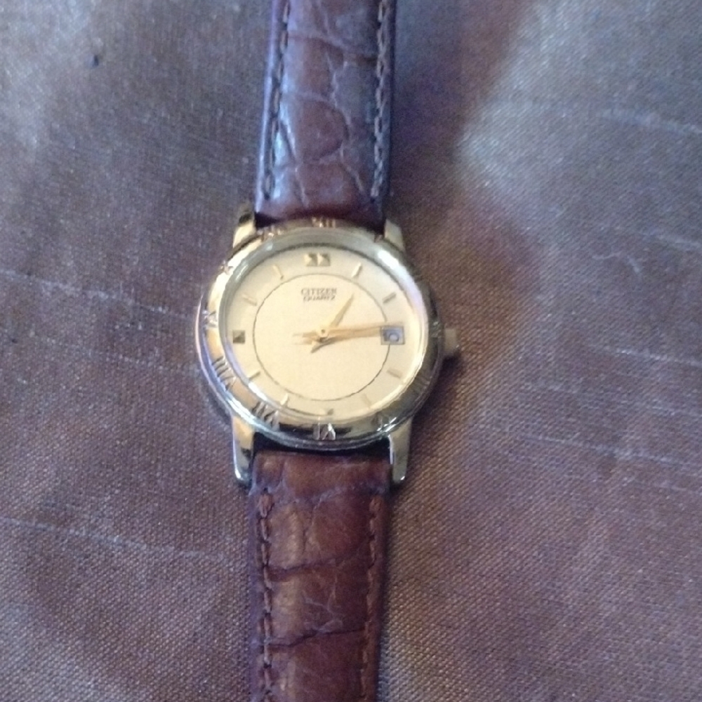 Citizen Silver And Brown Leather Watch